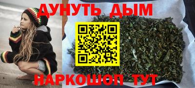 гидропоника Будённовск