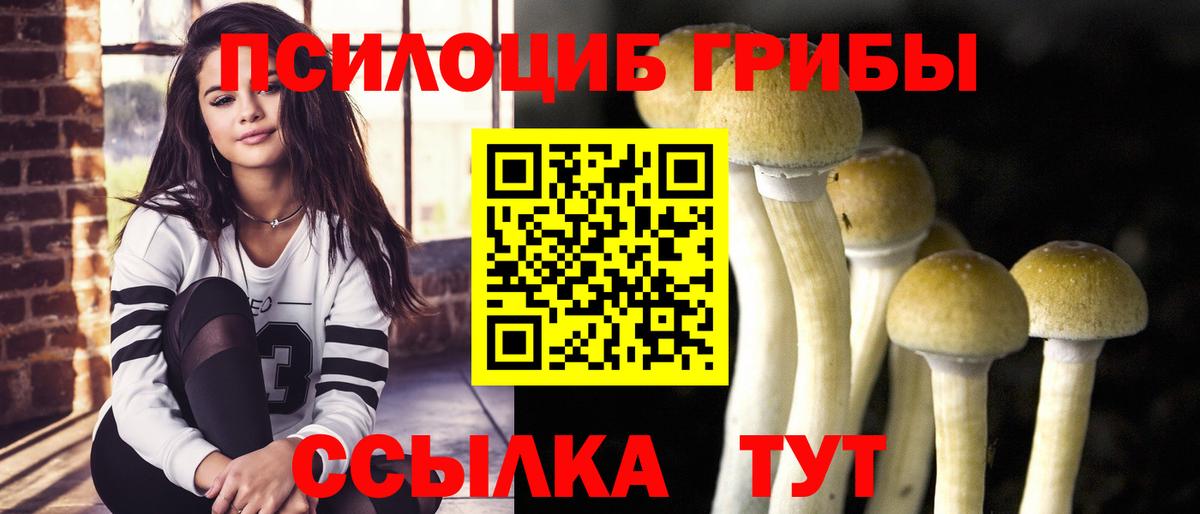 Галлюциногенные грибы прущие грибы Малоярославец